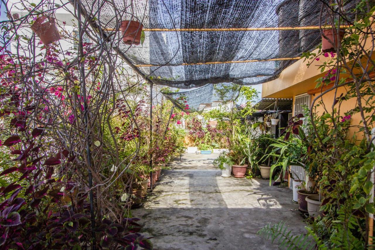 Nice Inn جورج تاون المظهر الخارجي الصورة